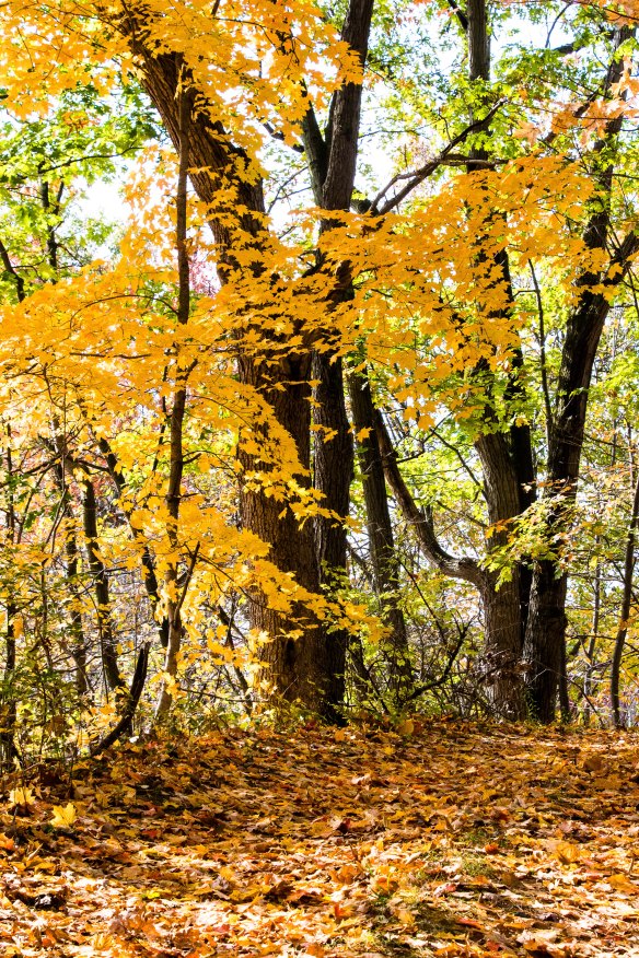 Lin and Michael's Photos