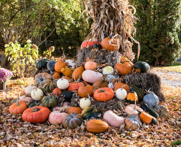 Lin and Michael's Photos