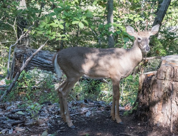 Lin and Michael's Photos