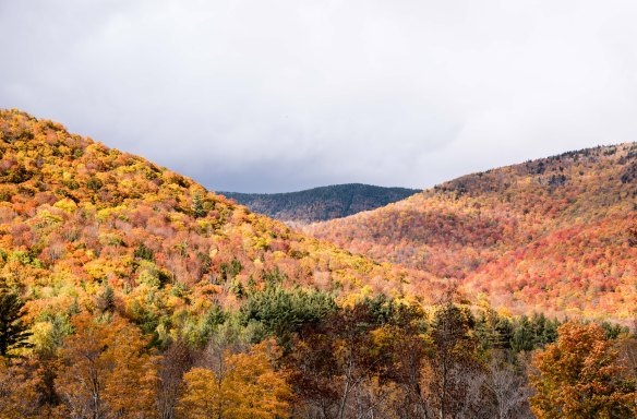 Lin and Michael's photos