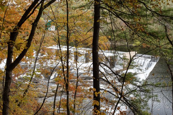 Lin and Michael's Photos