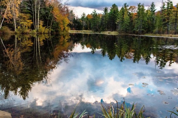 Lin and Michael's Photos