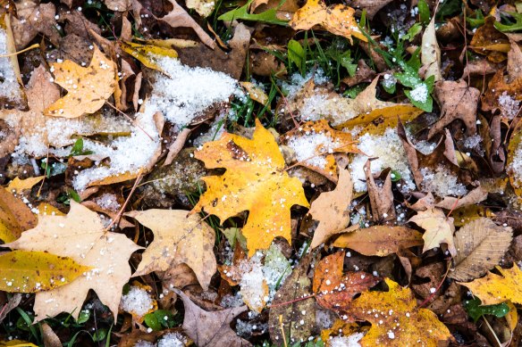 Lin and Michael's Photos