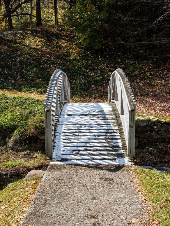 Lin and Michaels Photos