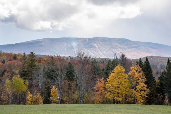 Lin and Michael's Photos