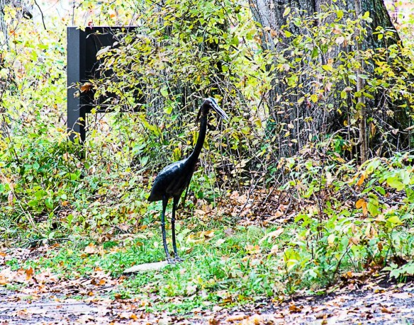 Lin and Michael's Photos