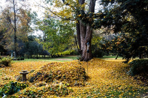 Lin and Michael's Photos