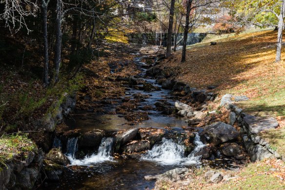 Lin and Michael's Photos