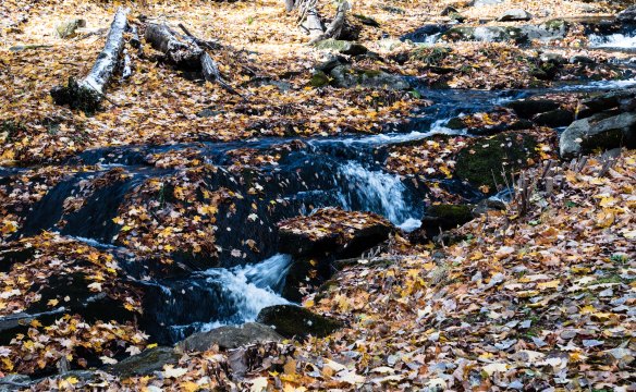 Lin and Michael's Photos