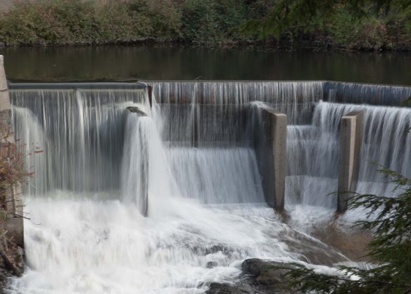 Lin and Michael's Photos