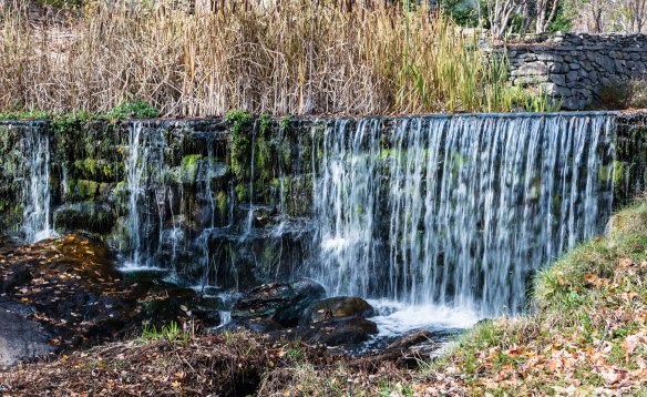 Lin and Michael's Photos