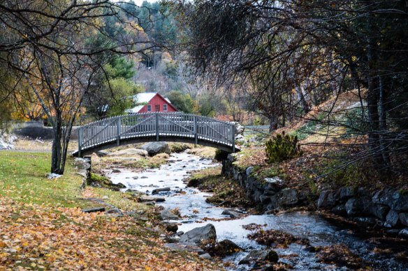 Lin and Michael's Photos