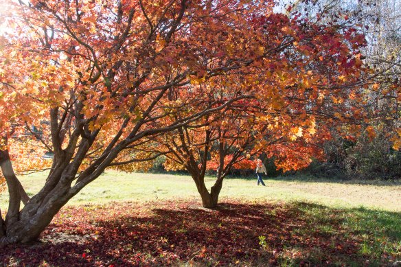 Lin and Michael's Photos