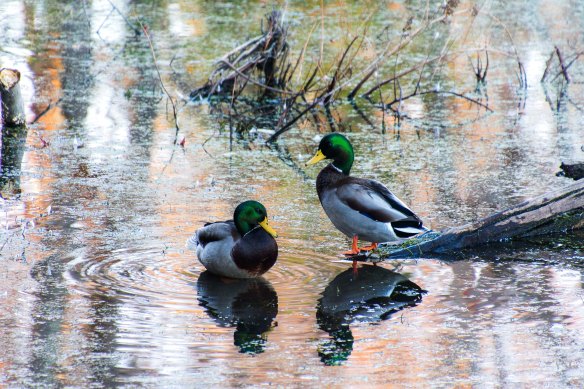 Lin and Michael's Photos