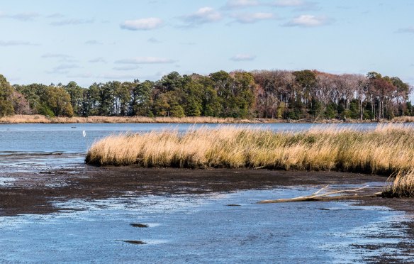 Lin and Michael's Photos