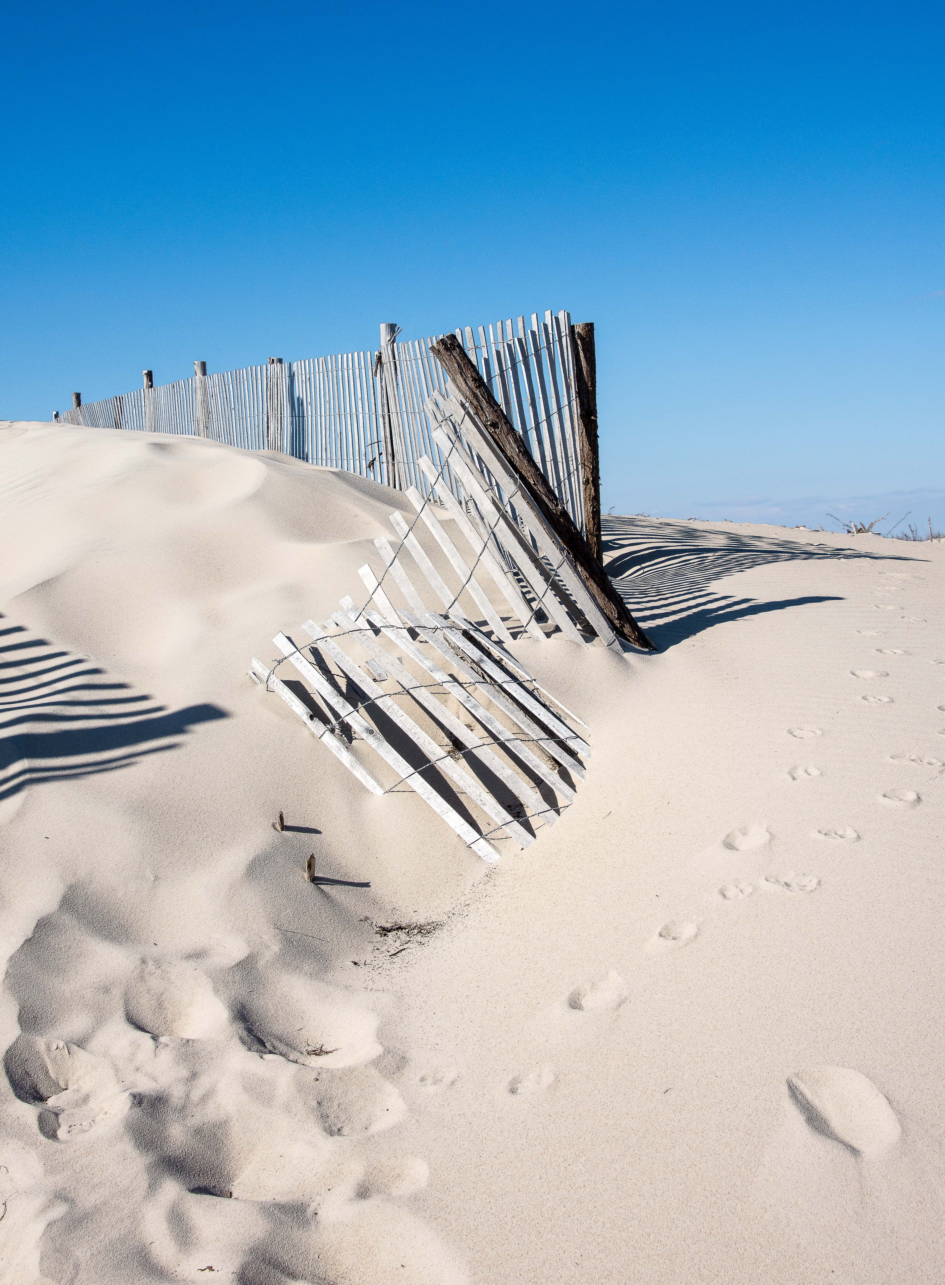 Lin and Michael's Photos