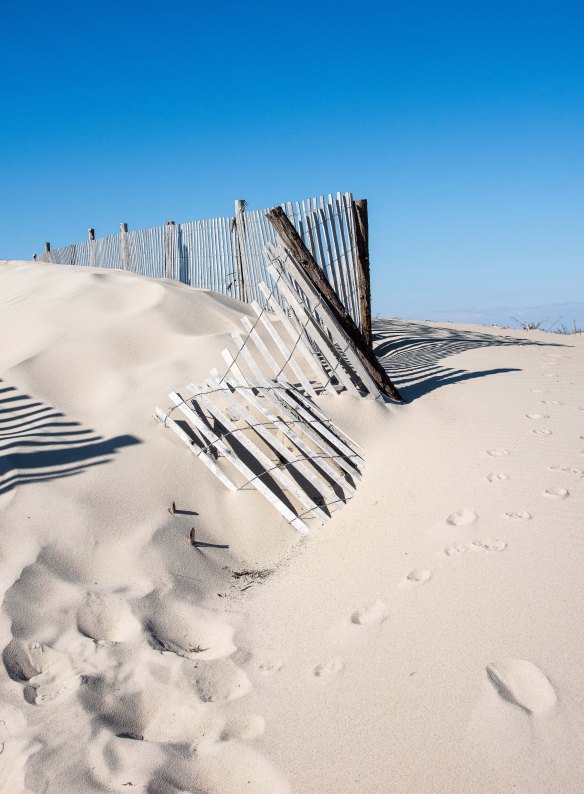 Lin and Michael's Photos