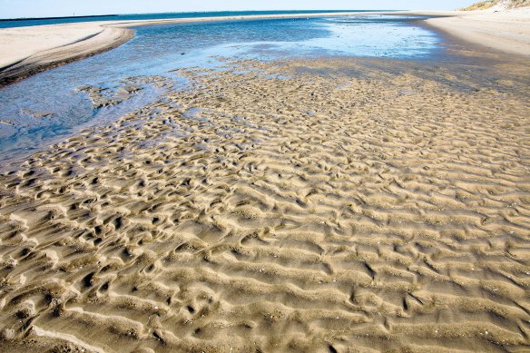 Lin and Michael's Photos