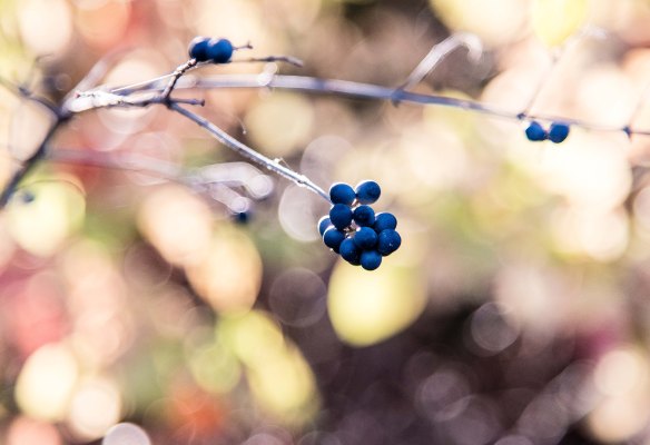 Lin and Michael's Photos