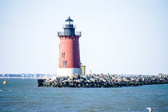 Lin and Michael's Photos