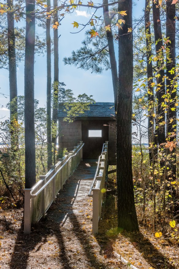 Lin and Michael's Photos