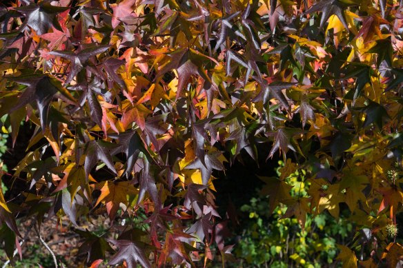 Lin and Michael's Photos