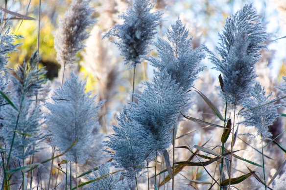 Lin and Michael's Photos