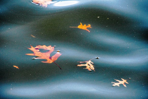 Lin and Michael's Photos