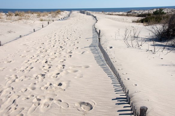 Lin and Michael's Photos