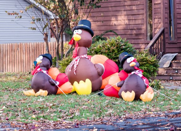 Lin and Michael's Photos