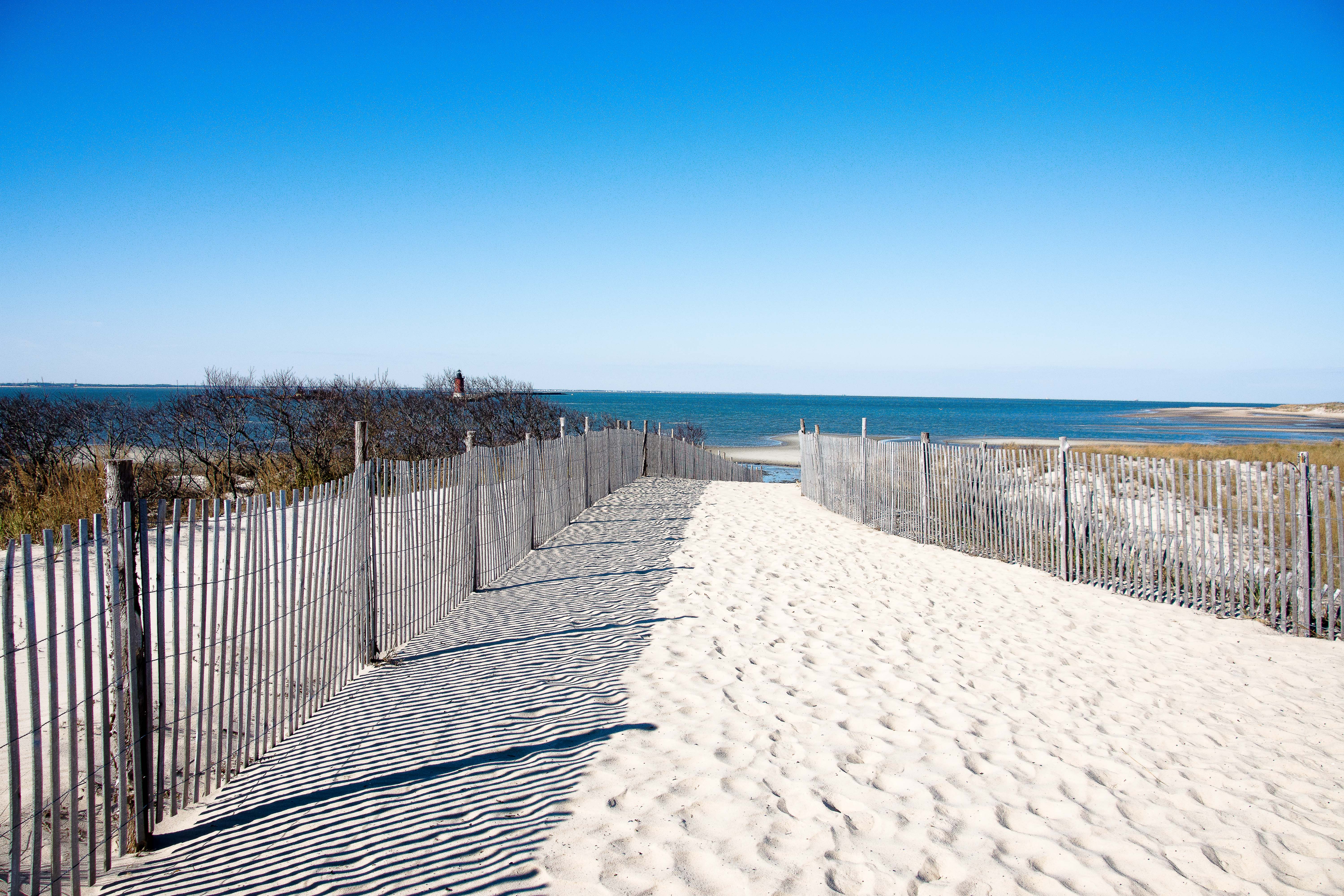 Lin and Michael's Photos