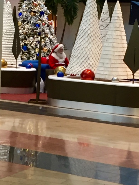 Lin and Michael's Photos