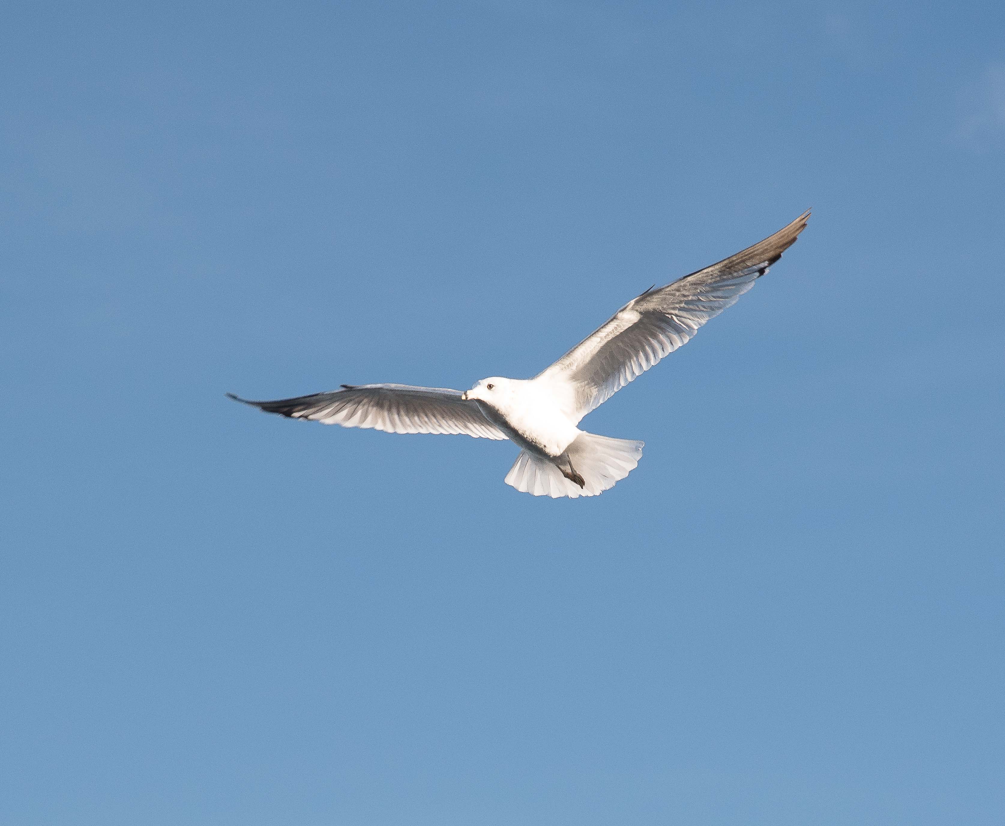 Lin and Michael's Photos