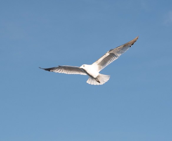 Lin and Michael's Photos