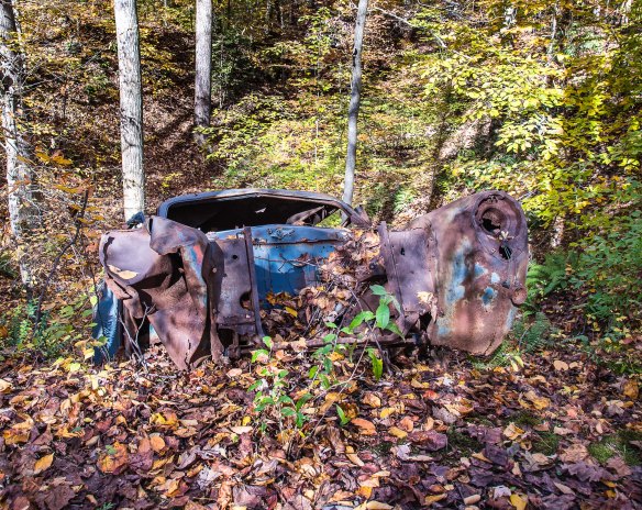 Lin and Michael's Photos