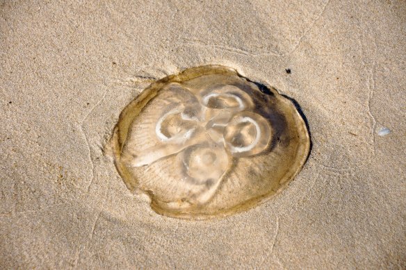 Lin and Michael's Photos