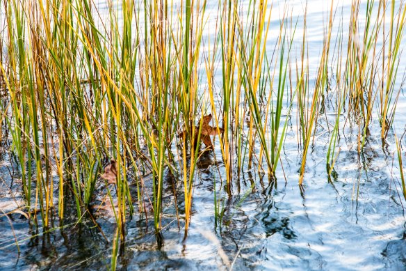 Lin and Michael's Photos