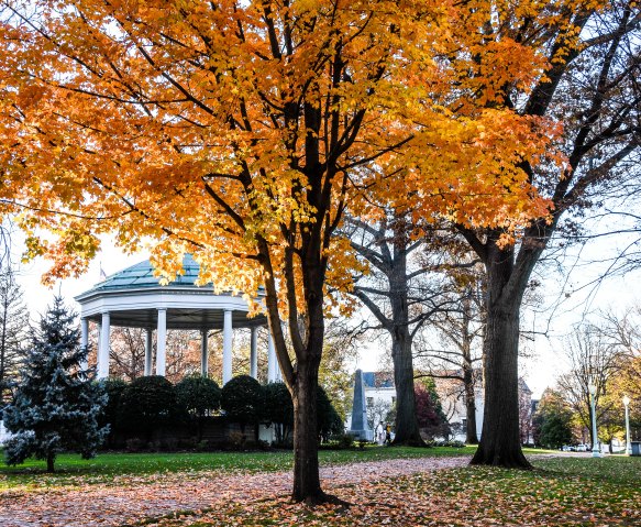 Lin and Michael's Photos