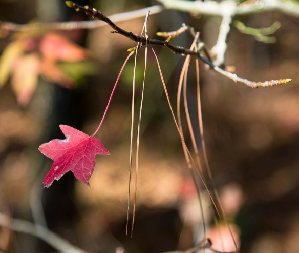 Lin and Michael's Photos