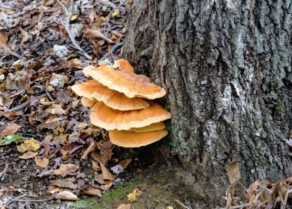 Lin and Michael's Photos