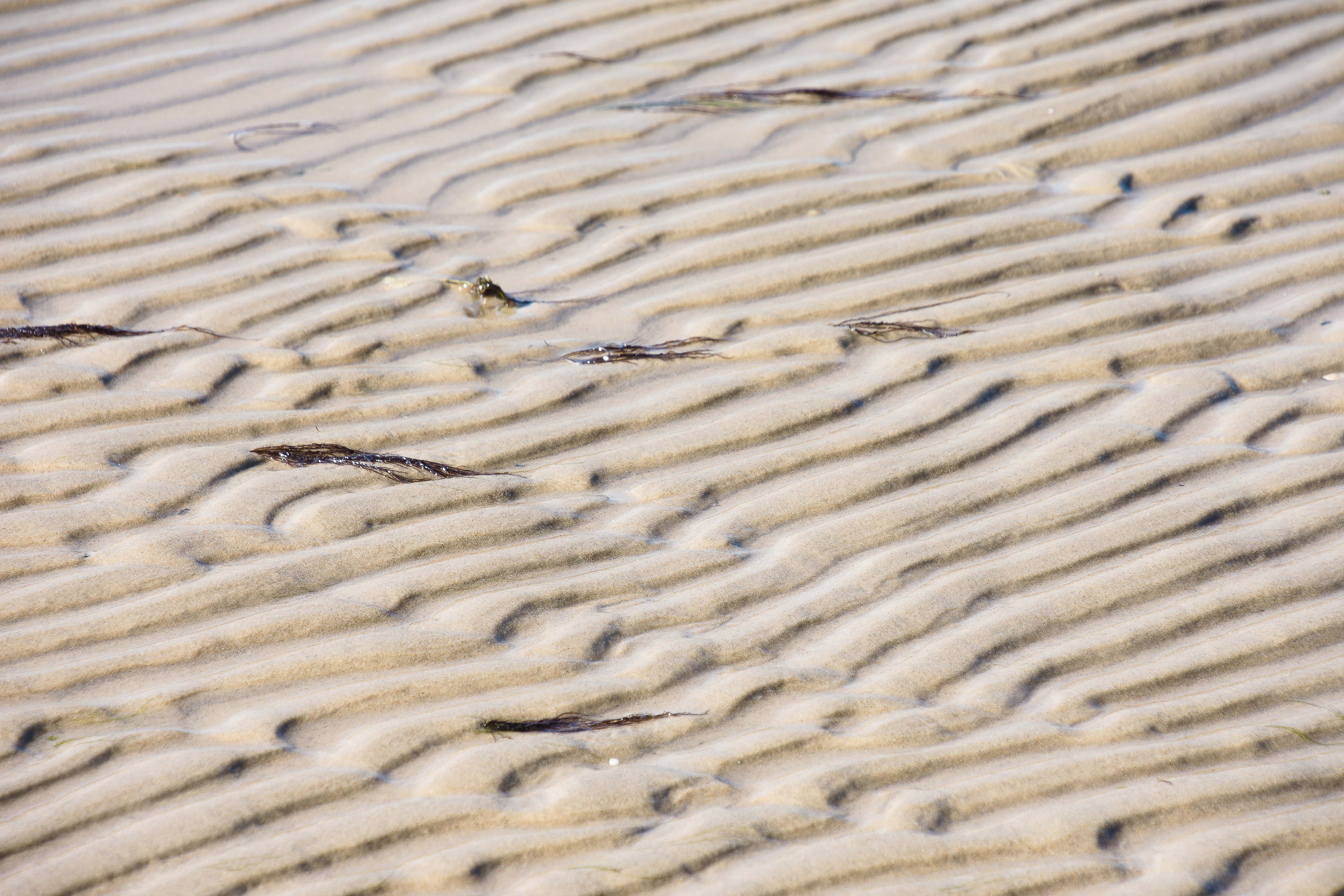 Lin and Michael's Photos