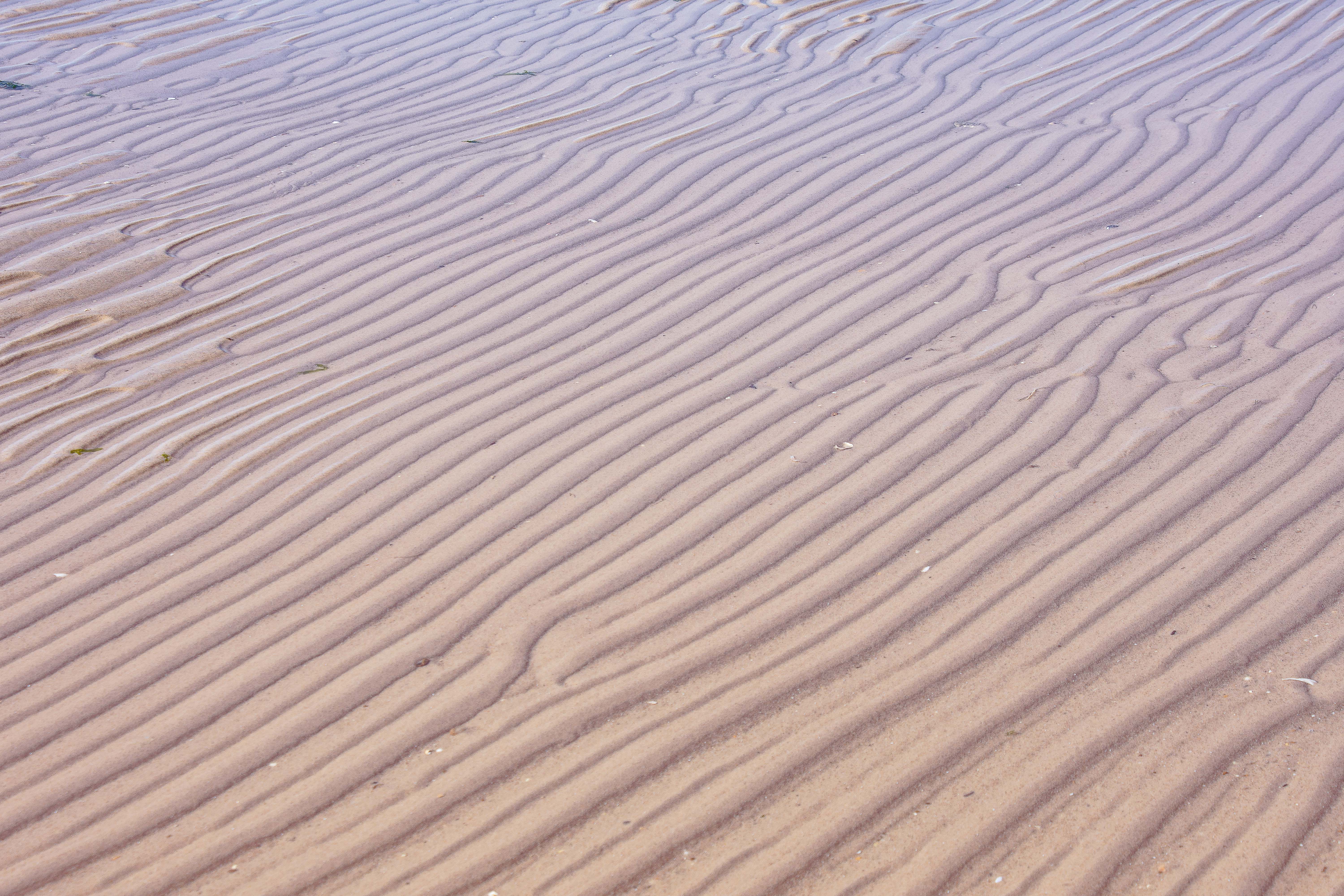 Lin and Michael's Photos