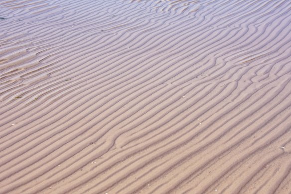 Lin and Michael's Photos