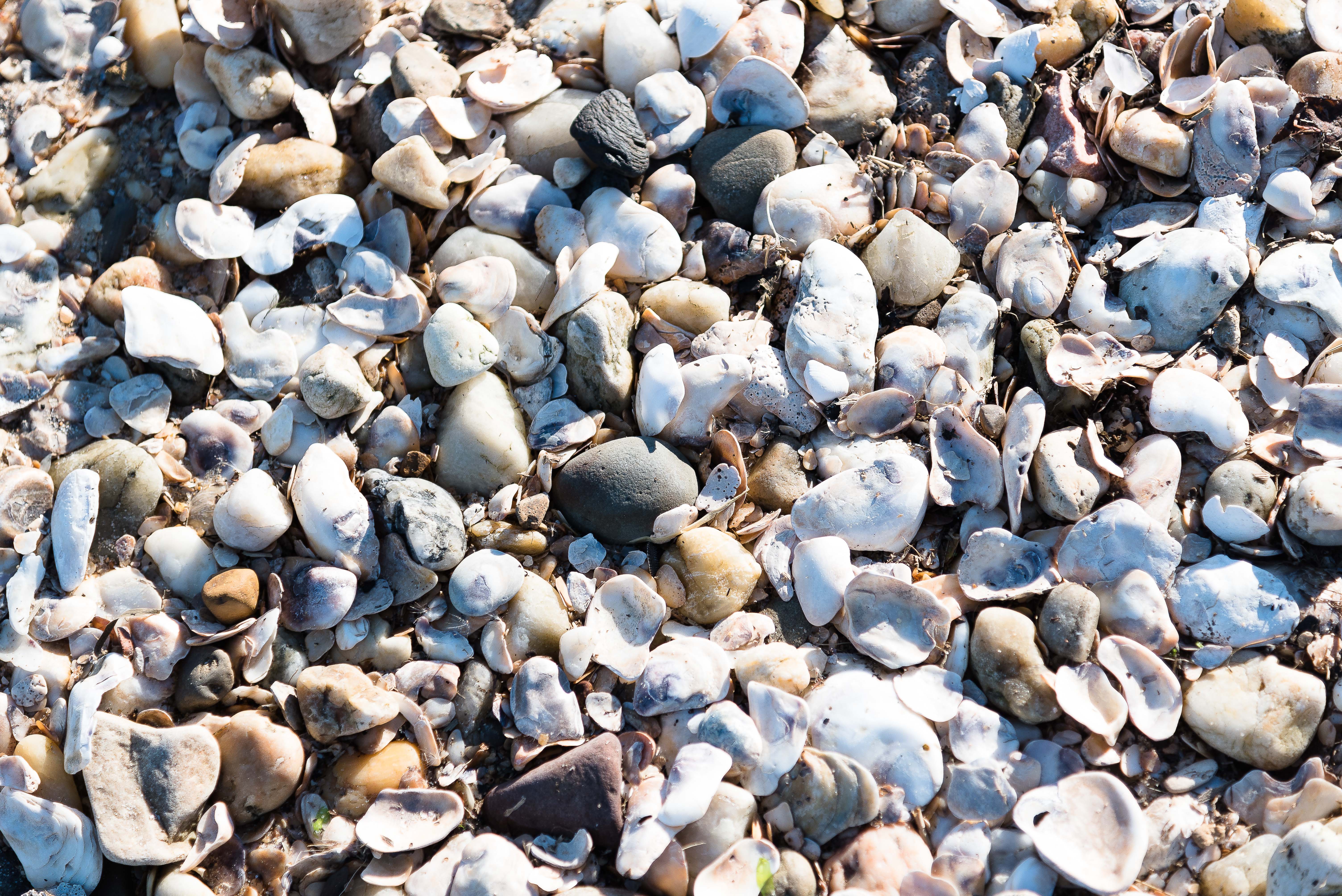 Lin and Michael's Photo