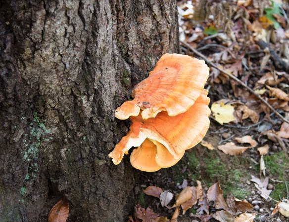 Lin and Michael's Photos