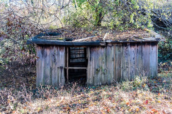 Lin and Michael's Photos