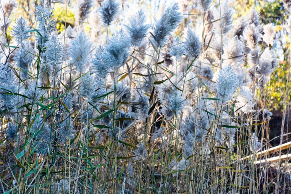 Lin and Michael's Photos