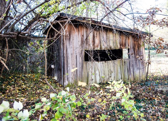 Lin and Michael's Photos