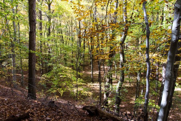 Lin and Michael's Photos