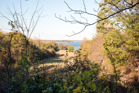 Lin and Michael's Photos